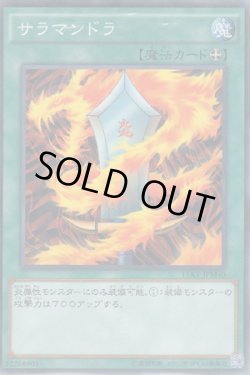 画像1: サラマンドラ