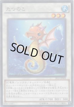 画像1: たつのこ