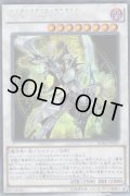 覚醒の魔導剣士（エンライトメント・パラディン） 【傷あり】
