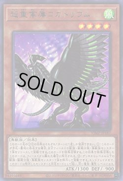 画像1: 超重禽属 コカトリウム（ちょうじゅうきんぞく）