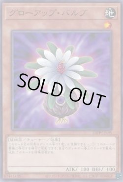 画像1: グローアップ・バルブ