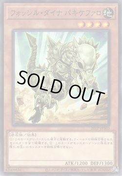 画像1: フォッシル・ダイナ パキケファロ