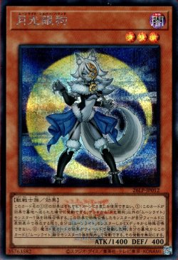 画像1: 月光銀狗（ムーンライト 大会ロゴ）