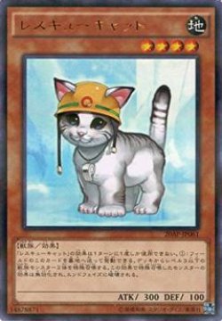 画像1: （状態B）レスキューキャット