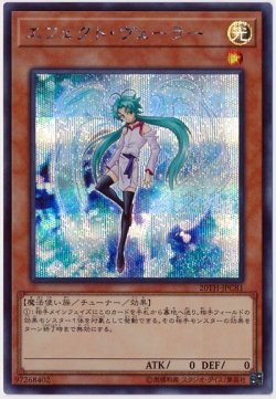 画像1: エフェクト・ヴェーラー
