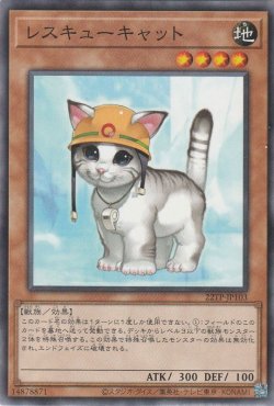 画像1: レスキューキャット