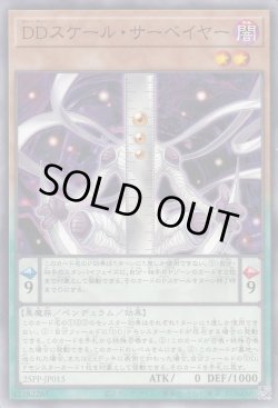 画像1: DDスケール・サーベイヤー