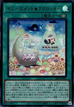 画像1: ヤミーズメント★アクロッキー
