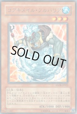 画像1: コアキメイル・フルバリア