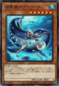 遊覧艇サブマリード