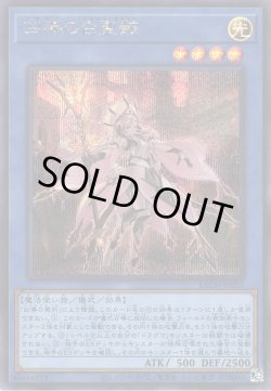 画像1: 凶導の白聖骸(ドラグマ アルバス・セイント)