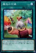 魔救の合縁（アダマシア）
