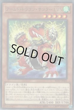 画像1: アームド・ドラゴン・サンダー LV5