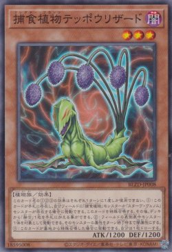 画像1: 捕食植物テッポウリザード（プレデター プランツ）