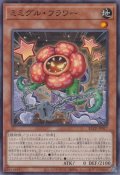 ミミグル・フラワー