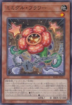 画像1: ミミグル・フラワー