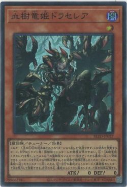 画像1: 血樹竜姫ドラセレア