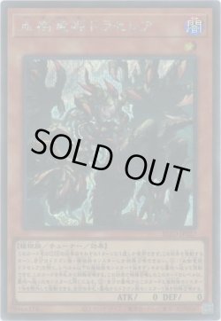 画像1: 血樹竜姫ドラセレア