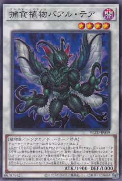 画像1: 捕食植物バアル・テア（プレデタープランツ）