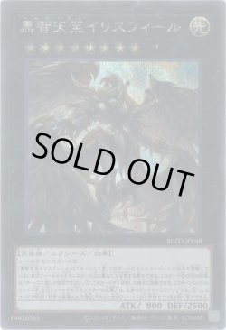 画像1: 黒智天至イリスフィール