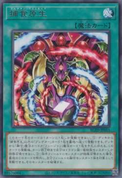 画像1: 捕食原生（プレデター プリミティブ）