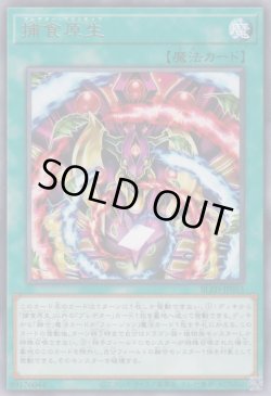 画像1: 捕食原生（プレデター プリミティブ）