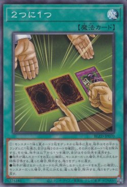 画像1: 2つに1つ