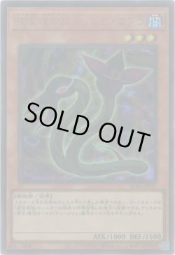 画像1: 捕食植物ダーリング・コブラ（プレデタープランツ）