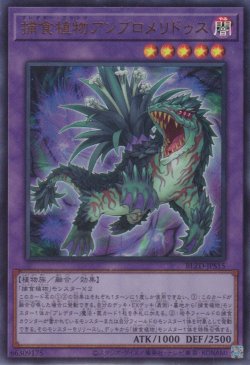 画像1: 捕食植物アンブロメリドゥス（プレデタープランツ）