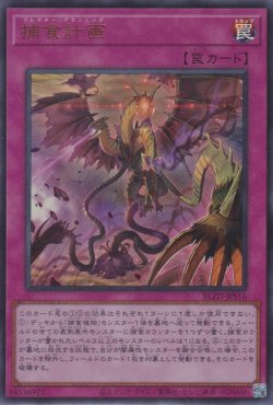 画像1: 捕食計画（プレデター プランニング）