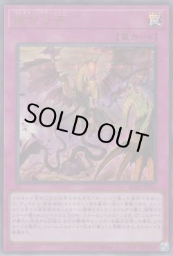 画像1: 捕食計画（プレデター プランニング）