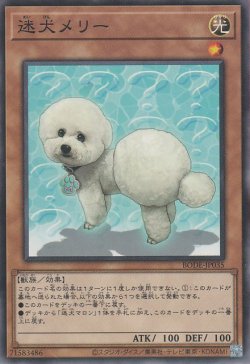 画像1: 迷犬メリー