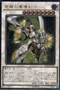 覚醒の魔導剣士（エンライトメント・パラディン）