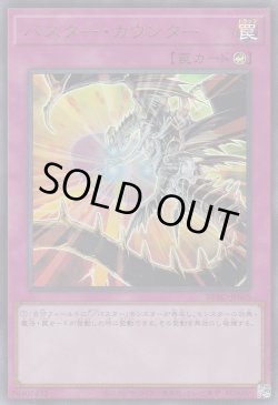 画像1: バスター・カウンター