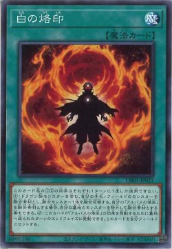 画像1: 白の烙印