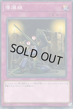 画像1: 導爆線