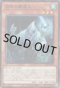 沼地の魔道王