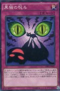 黒猫の睨み