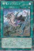 騎竜ドラコバック