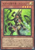セネトの啓示者－ネフェルタリ
