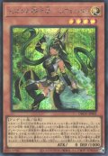 セネトの啓示者－ネフェルタリ