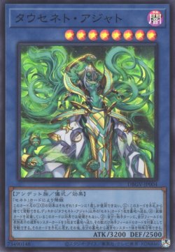 画像1: タウセネト・アジャト