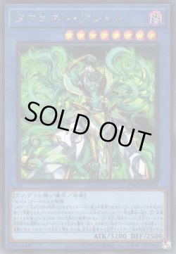 画像1: タウセネト・アジャト