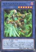 セネトメス・ネクベト