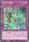 光器の瀑布（セネト カタラクト）