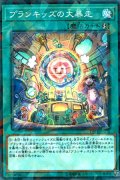 プランキッズの大暴走