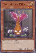 フルール・シンクロン