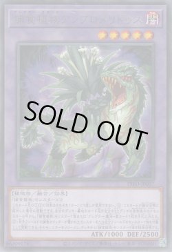 画像1: 捕食植物アンブロメリドゥス（プレデター・プランツ）