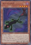 オノマトカゲ