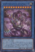 メガリス・ノートラ・プルーラ